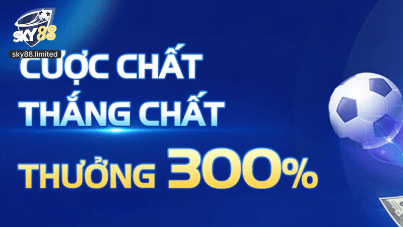 Chương trình ưu đãi, khuyến mãi hấp dẫn